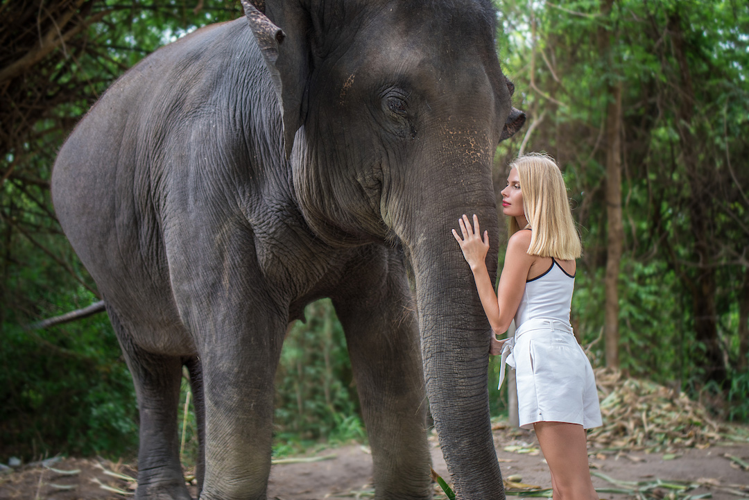 Фотограф на Бали Фотосессия со слоном