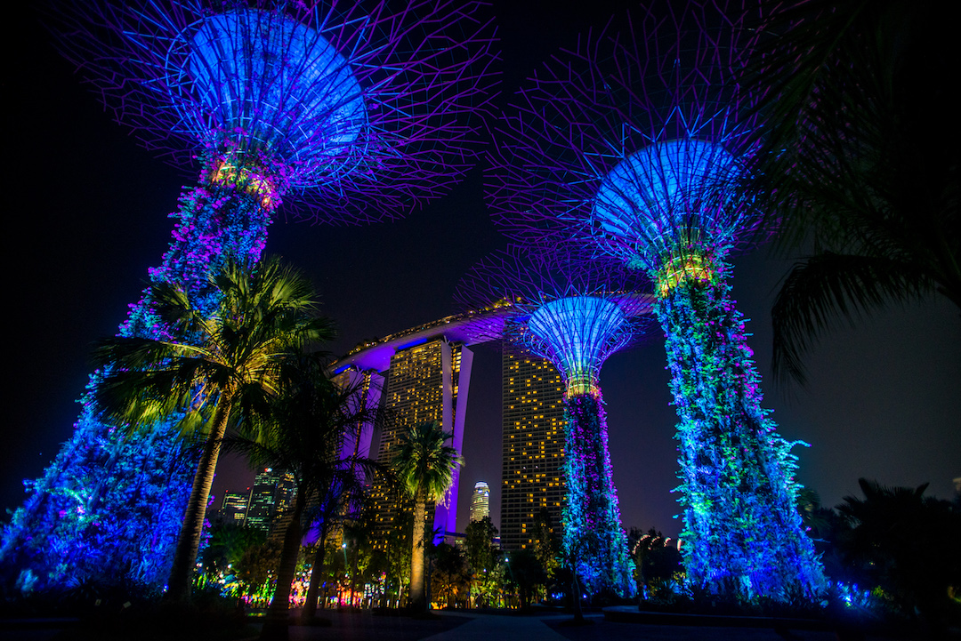Сингапур Marina Bay Sands Gardens By The Bay Колесо обозрения